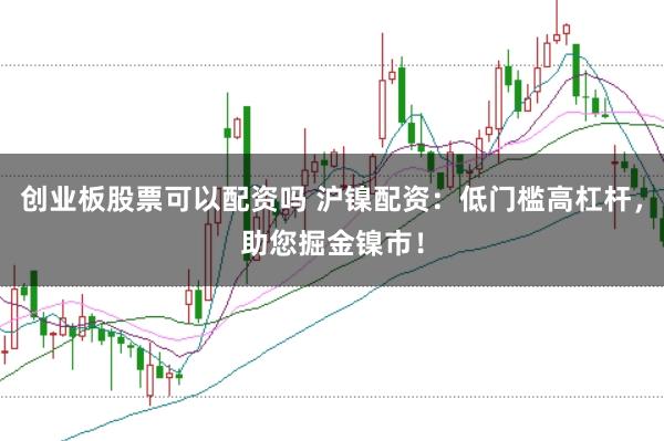 创业板股票可以配资吗 沪镍配资：低门槛高杠杆，助您掘金镍市！