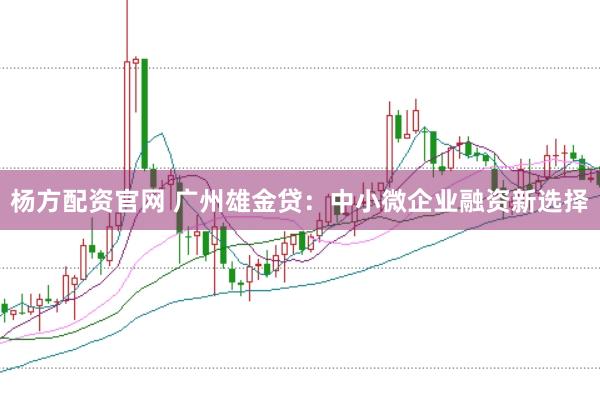 杨方配资官网 广州雄金贷：中小微企业融资新选择
