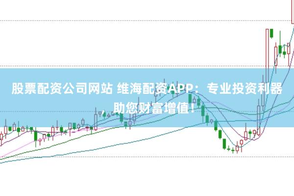 股票配资公司网站 维海配资APP：专业投资利器，助您财富增值！
