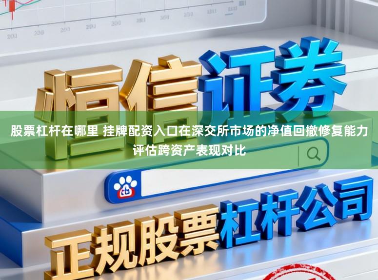 股票杠杆在哪里 挂牌配资入口在深交所市场的净值回撤修复能力评估跨资产表现对比